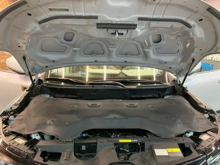 Renault Koleos II капот 2