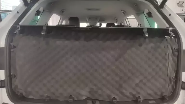 Skoda Kodiaq баг 4
