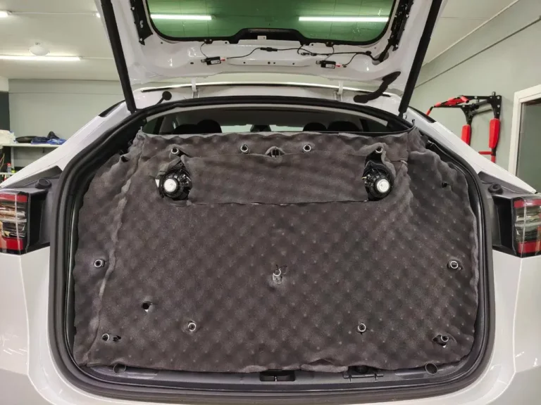 Tesla Model Y баг 2