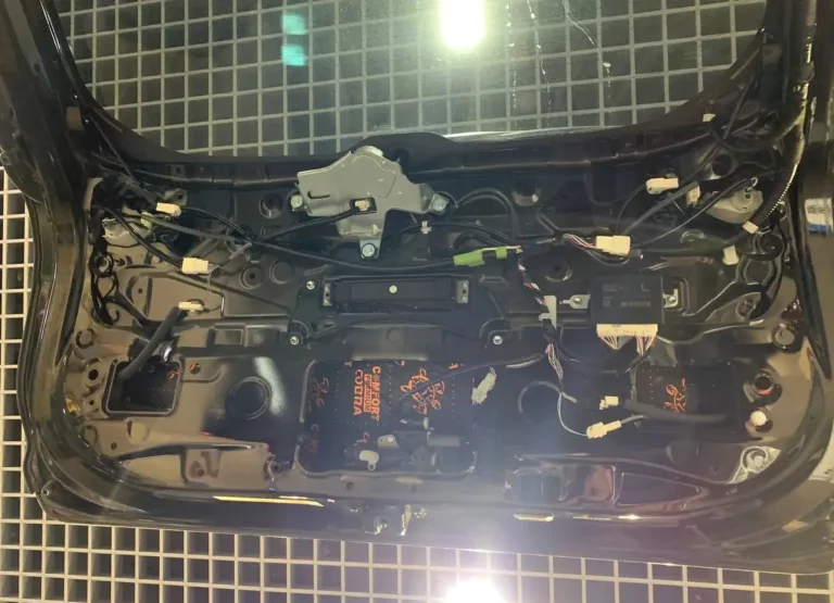 Toyota RAV 4 2022 баг 5